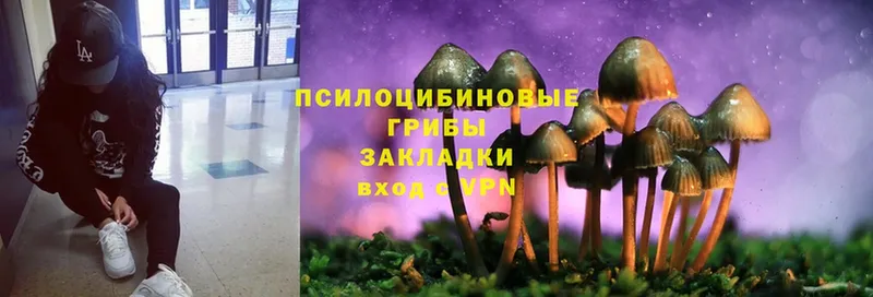 мега ТОР  Слюдянка  Галлюциногенные грибы Psilocybine cubensis 